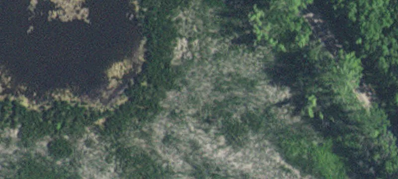 Granite Falls, MN 56241
