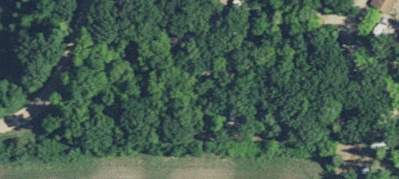 New London, MN 56273