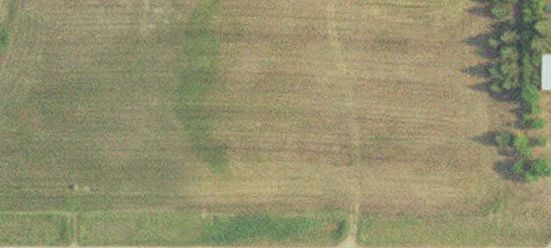 Frazee, MN 56544