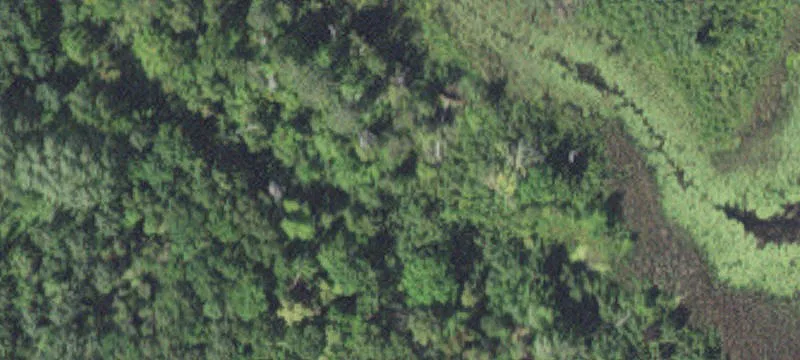 Grand Rapids, MN 55744