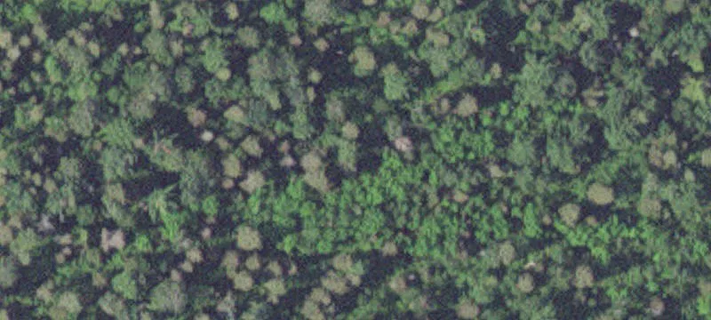 Silver Bay, MN 55614