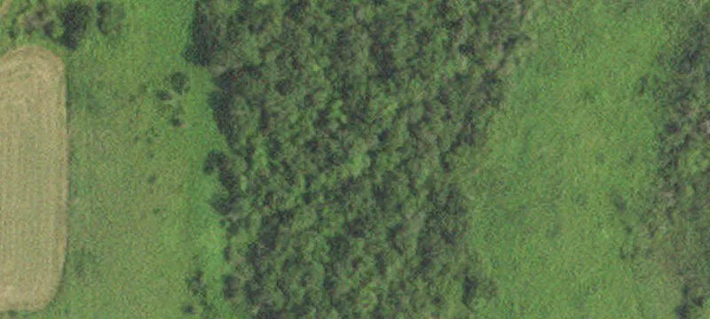 Callaway, MN 56521