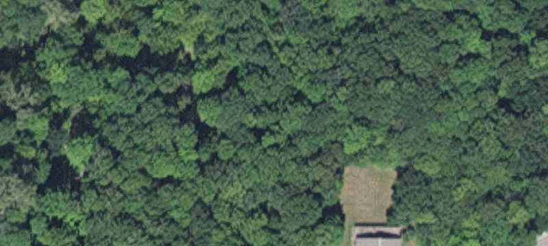 21371 State Hwy 15