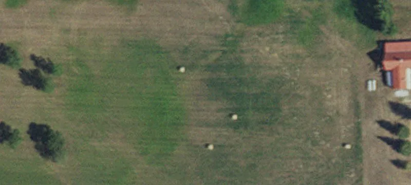 18859 State Hwy 11