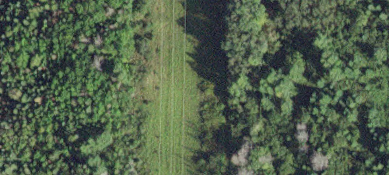 Littlefork, MN 56653