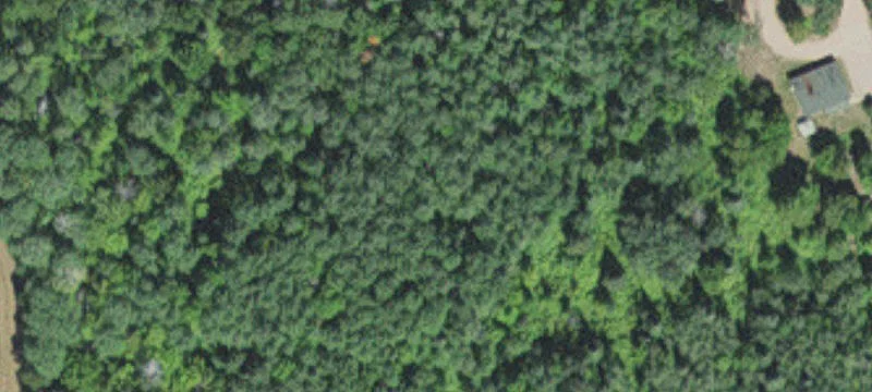 Tamarack, MN 55787