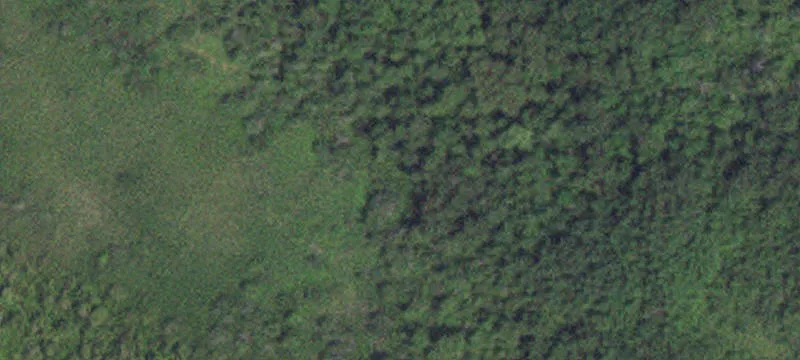 Erskine, MN 56535