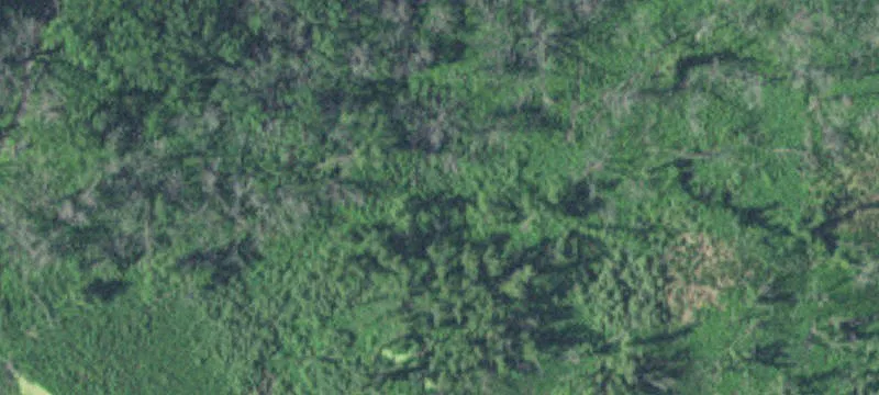 New Ulm, MN 56073