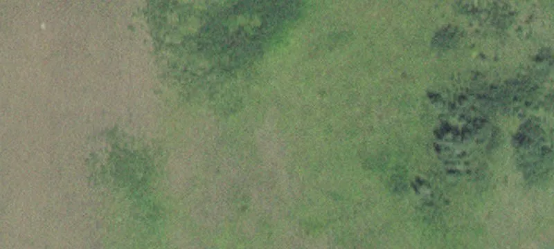 Glenville, MN 56036