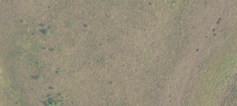 Kasota, MN 56050