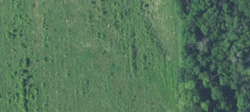 New Ulm, MN 56073