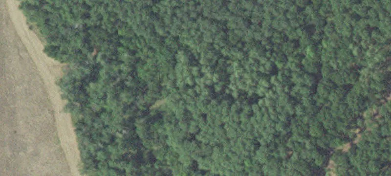 Nevis, MN 56467