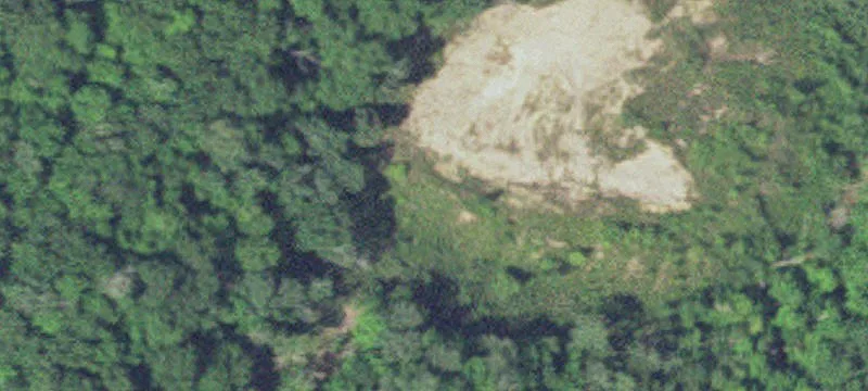 42500 310th Ln