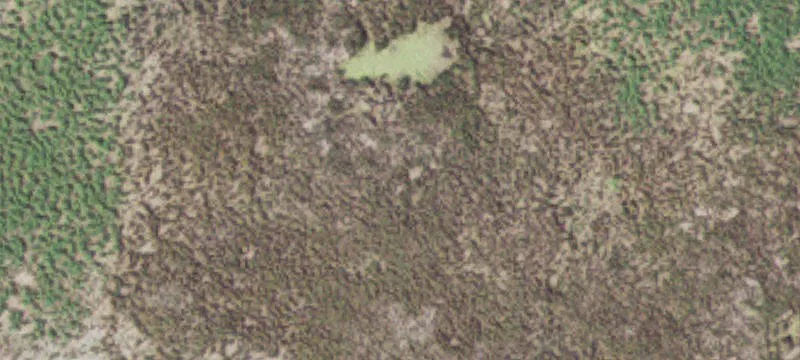 Comfrey, MN 56019