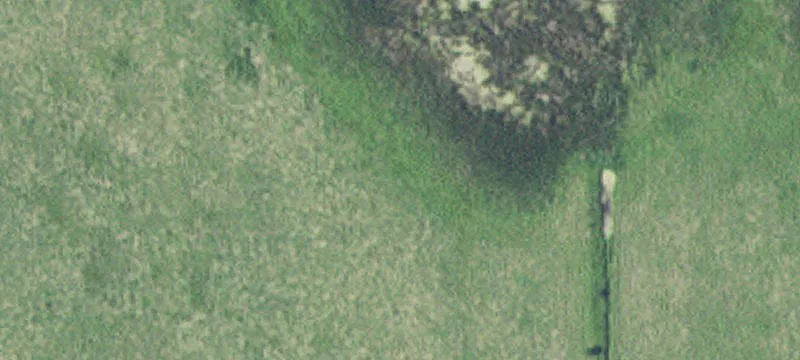 New Ulm, MN 56073