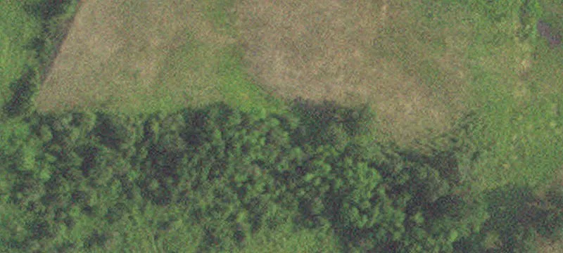 16782 County Hwy 29