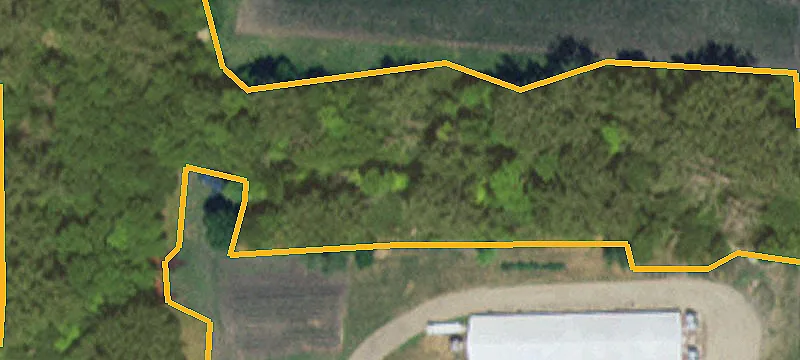 Chokio, MN 56221