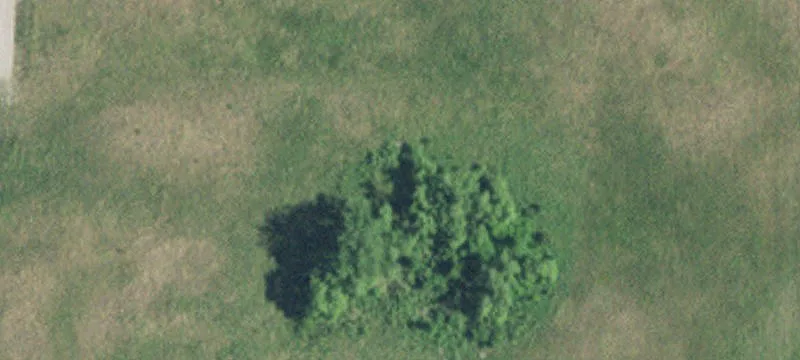 New London, MN 56273