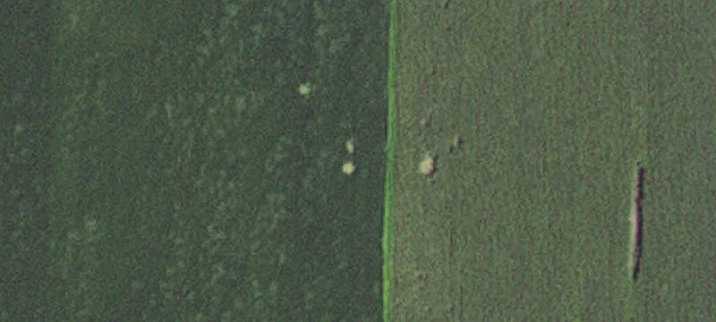 Storden, MN 56174