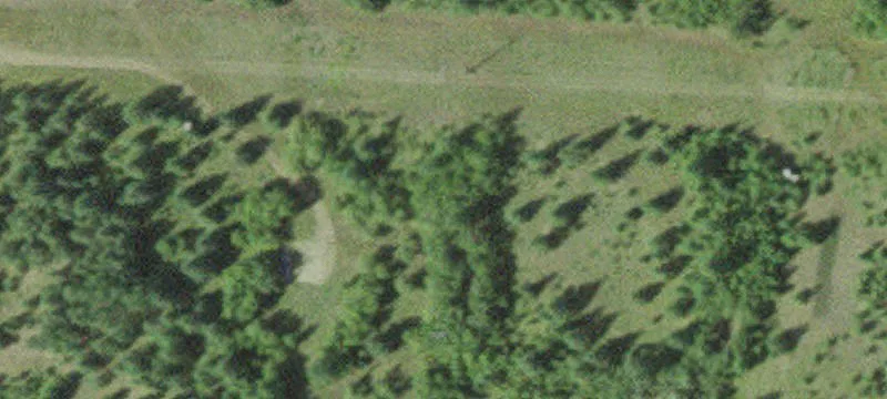 Littlefork, MN 56653