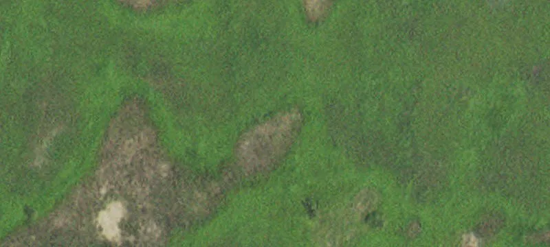 Callaway, MN 56521