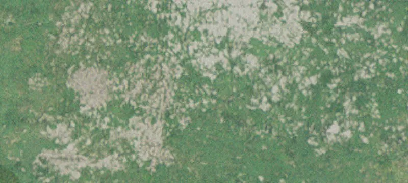 Glenville, MN 56036