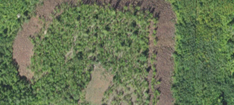Grand Rapids, MN 55744