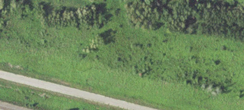 Solway, MN 56678