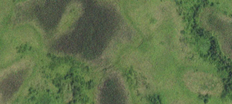 Ogema, MN 56569