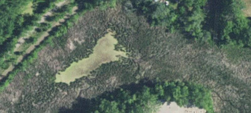 New London, MN 56273