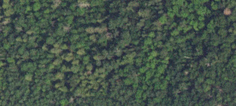 Angle Inlet, MN 56711