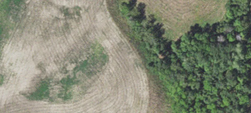 Marcell, MN 56657