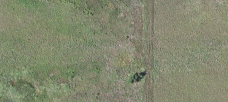 Comfrey, MN 56019