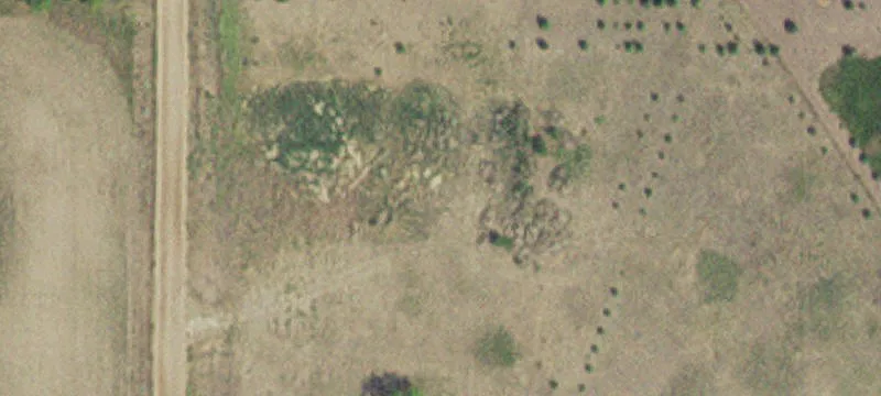 Fertile, MN 56540