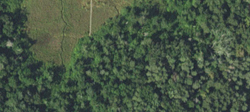 Bemidji, MN 56601