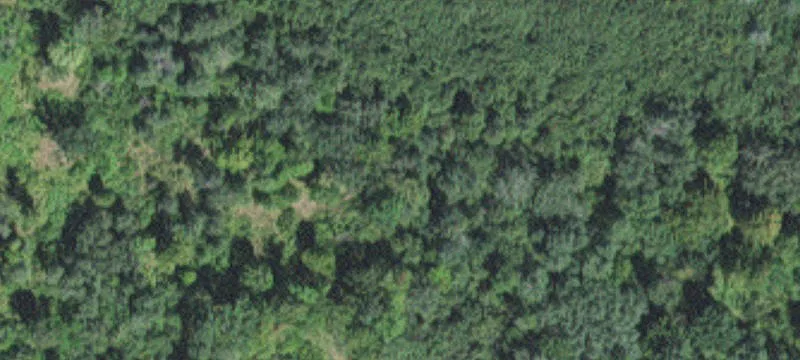 Tamarack, MN 55787