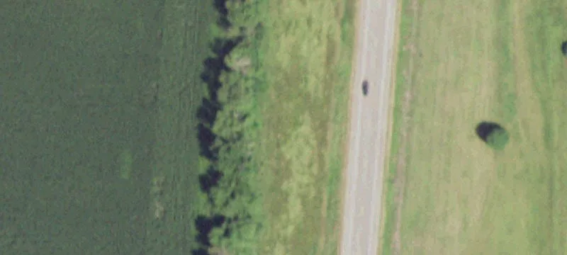 Elmore, MN 56027