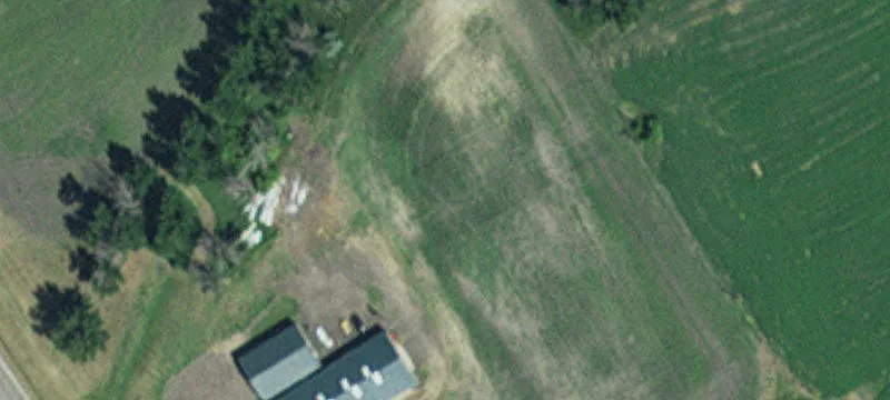 Herman, MN 56248