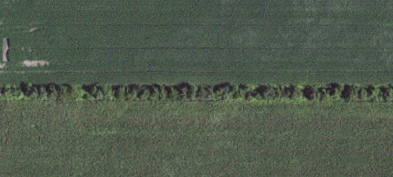 Jeffers, MN 56145