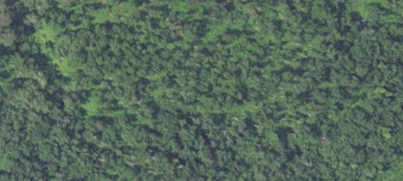 Silver Bay, MN 55614