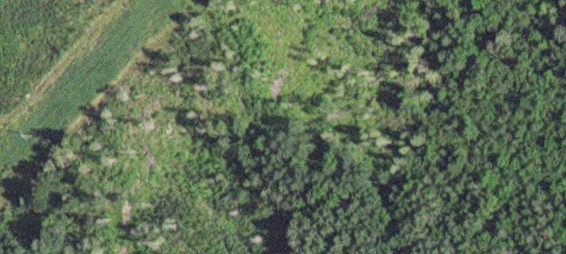 Big Falls, MN 56627