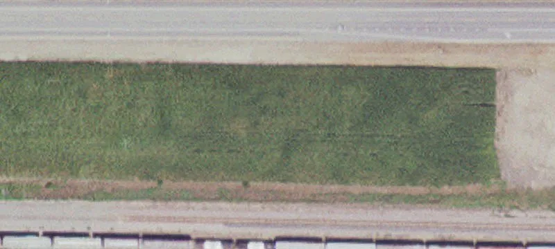 Walnut Grove, MN 56180