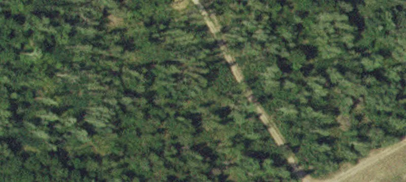 15835 County Rd 31
