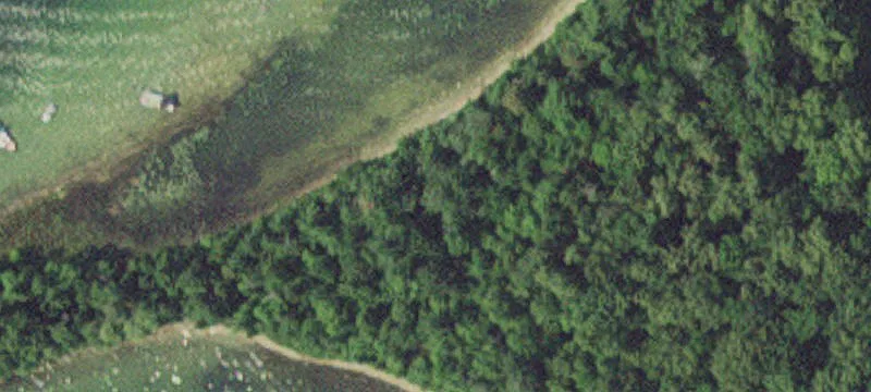 Nevis, MN 56467