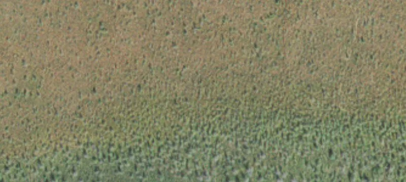 Tamarack, MN 55787