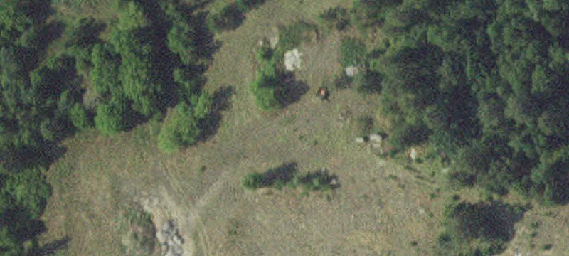 11750 State Hwy 87
