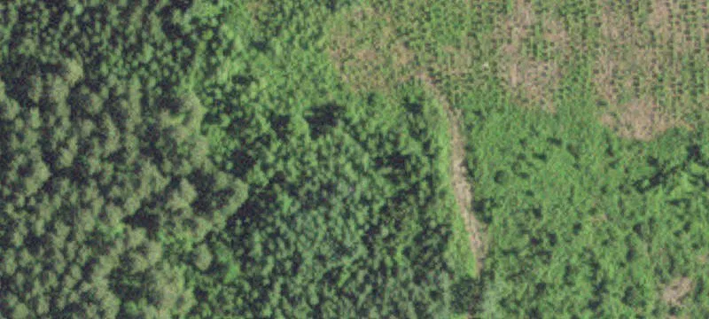 7536 County Rd 13