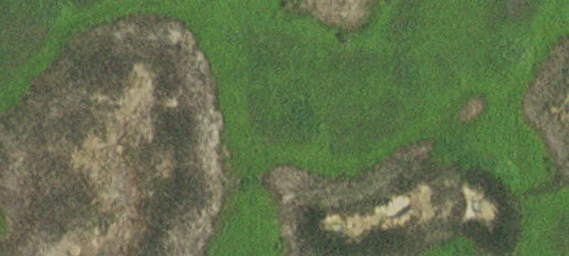 Callaway, MN 56521
