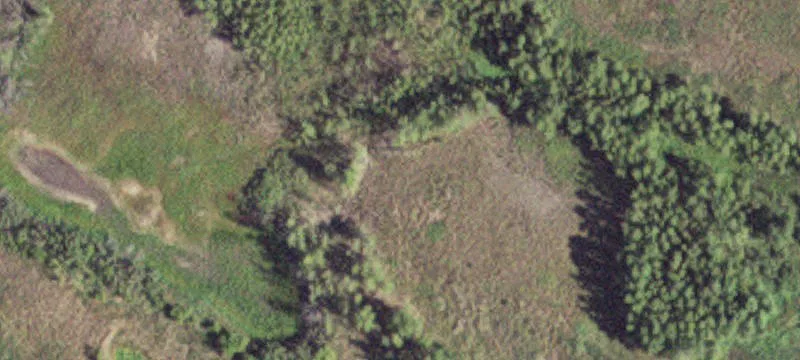 Windom, MN 56101