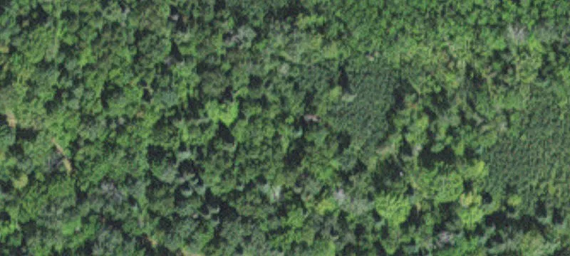 Tamarack, MN 55787